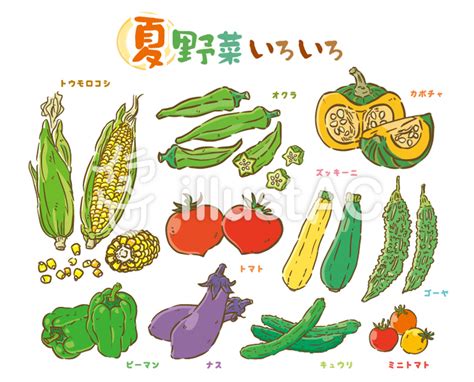 夏野菜セットイラスト No 2013390／無料イラストなら「イラストac」
