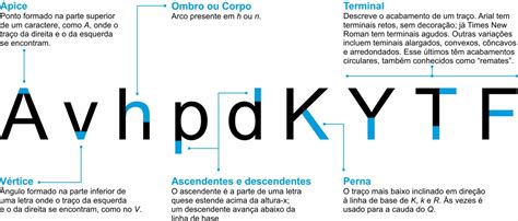 Tipografia básica 4 Anatomia dos tipos Clube do Design