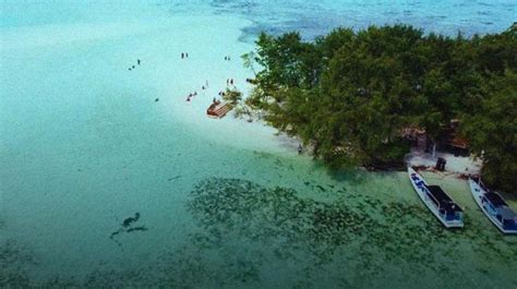 Latest news karimunjawa national park - TheIndonesia.id