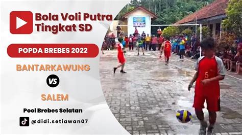 Bola Voli Putra Tingkat Sd Popda Brebes Pool Brebes Selatan