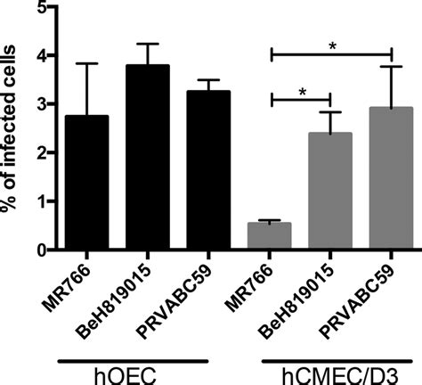 Zikv Infectivity In Hoec And Hcmec D3 Cells Hoec And Hcmec D3 Cells Download Scientific