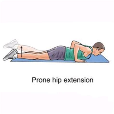 Prone Hip Extension By Patrick Morrisey Exercise How To Skimble