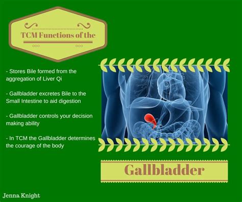 Tcm Functions Of The Gallbladder Shiatsu Massage Acupressure Treatment Acupuncture