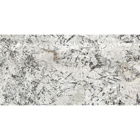 SenSa Delicatus Ice Granite White Kitchen Countertop Sample 4 In X 4