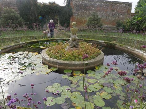 Lily Pond David Pashley Cc By Sa 2 0 Geograph Britain And Ireland