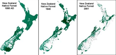 forest cover map – envirohistory NZ