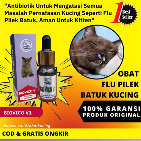 Jual Obat Flu Pilek Batuk Kucing Antibiotik Pernafasan Kucing Biovico