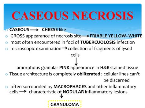 Necrosis And Types Ppt