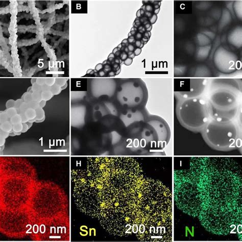 Morphology Characterization Of SSR PF And Sn NHCF A FESEM And B And