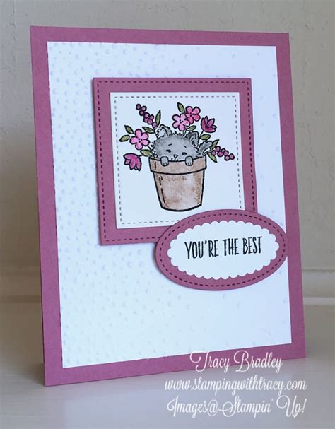 Pretty Kitty By Stampin Up Stamping With Tracy