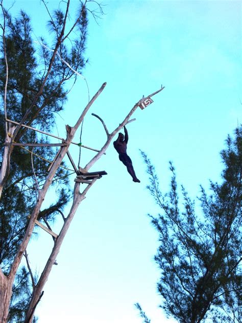 Diver At Ricks Cafe Negril Jamaica Seen Them Dive In Person Very