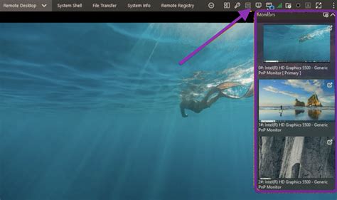 View Multiple Monitors During Remote Sessions