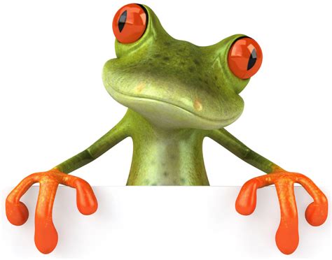 Frog Png Image Free Download Image Frogs