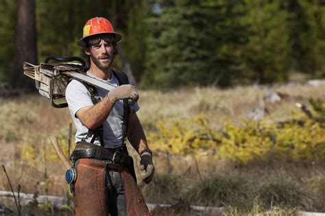 How To Fell A Tree Using A Chainsaw