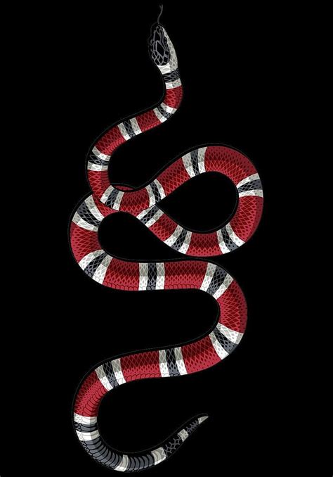 Red Snakes Hd Phone Wallpaper Pxfuel