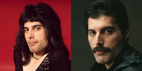 The Enduring Appeal Of Freddie Mercury's Hair - Hair System