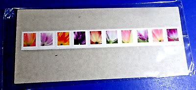 Us Tulip Blossoms K Coil Strip Usps Sealed