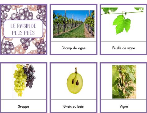 Le Raisin Pdf