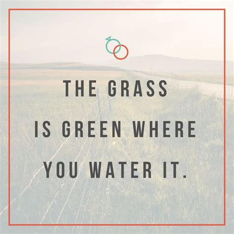 The Grass is Green Where You Water it | Marriage advice quotes ...