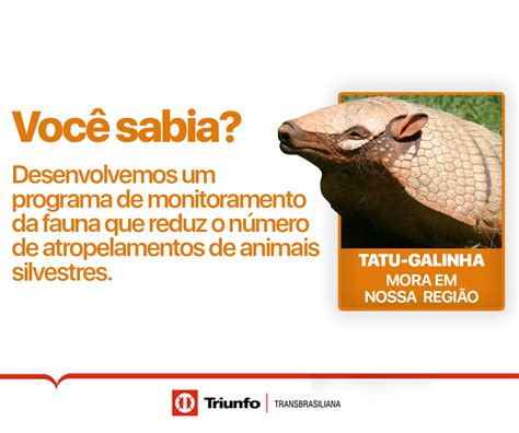 Triunfo Transbrasiliana Lança Campanha De Preservação Da Fauna