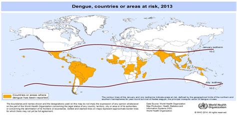 Figure From Development Of Stable Cell Line For Ns Gene Of Dengue