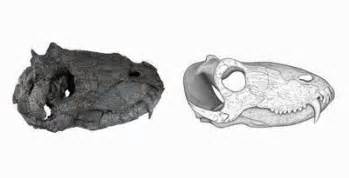 PREDATOR SEBELUM MASA DINOSAURUS Wongndoro S Blog