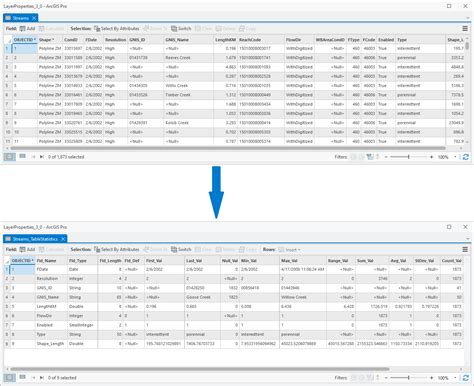 Xtools Pro Help Table Statistics