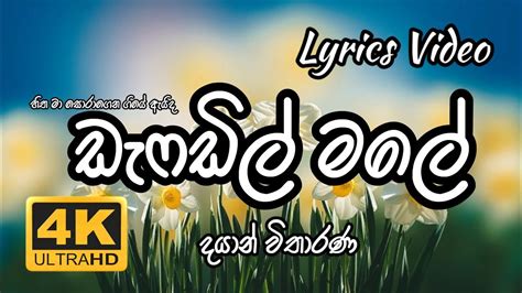 Daffodil Male Dayan Witharana Lyrics Video 4k Youtube