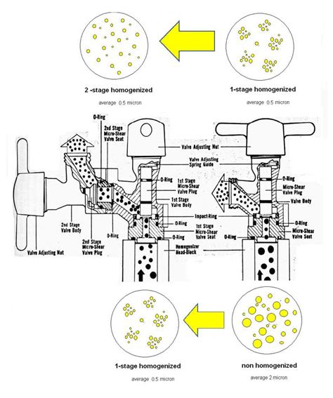 เครองโฮโมจไนเซอร homogenizer ราคาถก Homogenizer IKA โฮโมจไนเซอร