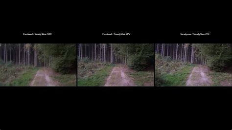 Steadycam Comparison Sony Hdr Cx130 Youtube