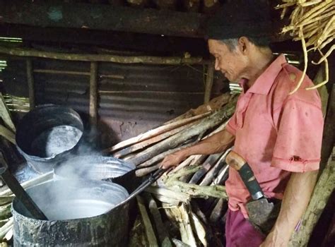 Tahun Jadi Petani Gula Aren Ini Harapan Ungke Mamonto Liputan Bmr