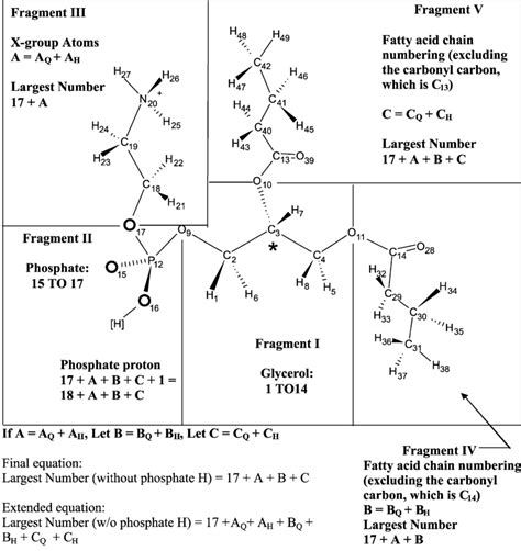 Schematic Drawing Of The Numbering System For Lipids Download Scientific Diagram