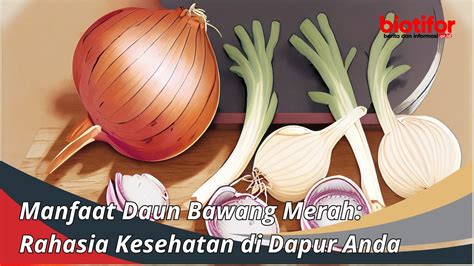 Manfaat Daun Bawang Merah Rahasia Kesehatan Di Dapur Anda