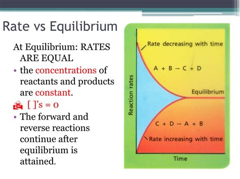 Reaction Rates And Equilibrium Worksheets