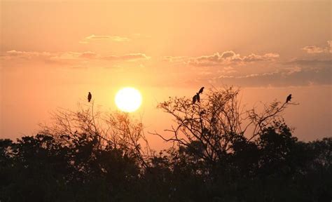 Sexta Feira Sol Tempo Est Vel Baixa Probabilidade De Chuva Em Ms