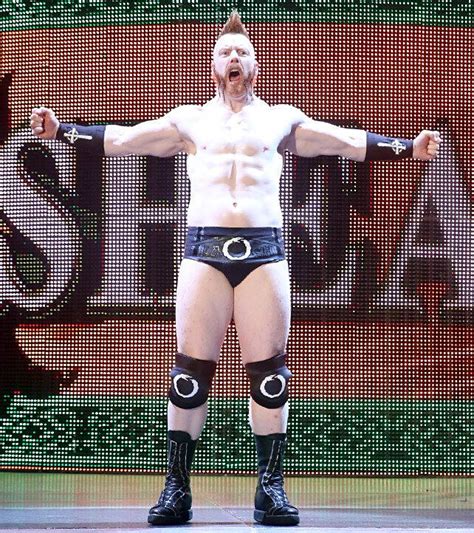 Daniel Bryan Vs Sheamus Photos Wwe