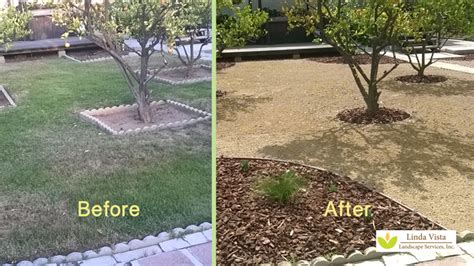 Before/After Renovated California Backyard Orchard -- Linda Vista ...