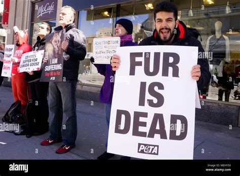 Peta animal protest hi-res stock photography and images - Alamy