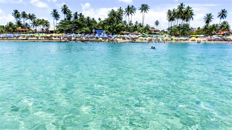 Descubra Porto De Galinhas Dicas Imperd Veis Para Explorar Este