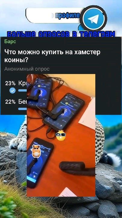 🔥ЧТО МОЖНО КУПИТЬ НА ХАМСТЕР КОИНЫ? - YouTube