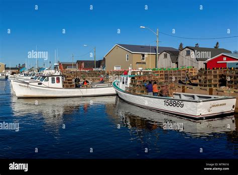 Lobster Trap Setting Day From The Wharf In Malpaque Prince Edward