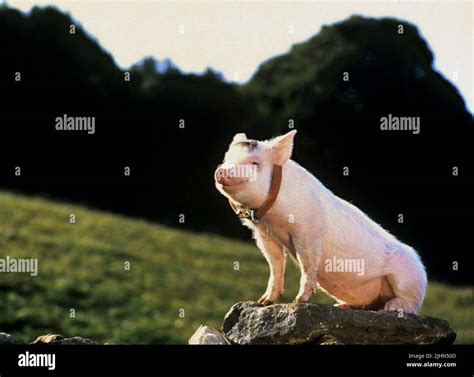 Babe Banque de photographies et dimages à haute résolution Alamy
