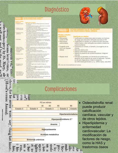 Solution Insuficiencia Renal Cr Nica Studypool