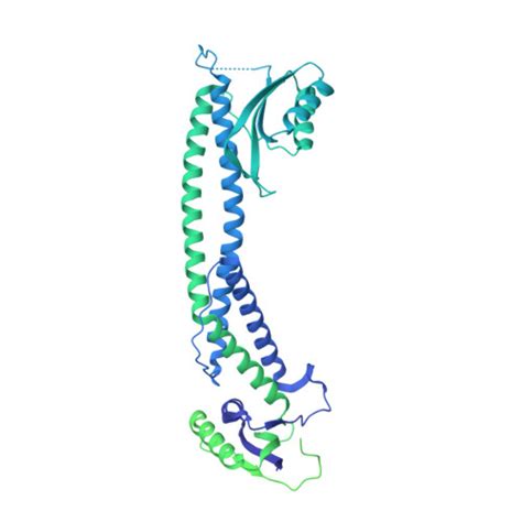 Rcsb Pdb B Q Synaptic Vesicle V Atpase With Synaptophysin And Sidk