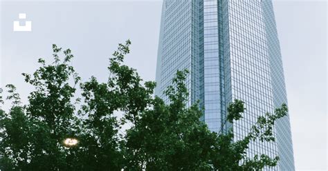 Green Trees Near High Rise Building During Daytime Photo Free