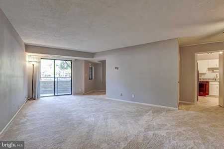 Montebello Condos For Sale Alexandria VA - Montebello Condominiums