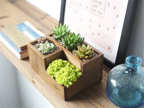 Wood Bonsai Pot Handmade Indoor Plant Pot Unique Flower Pot Etsy