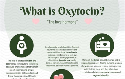 Infographic Oxytocin The Love Hormone