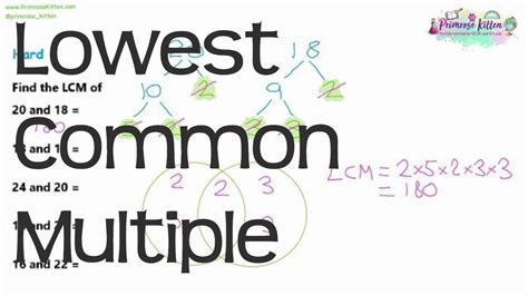 Multiples Inc Lowest Common Multiple Lcm Revision For Maths Gcse And Igcse Youtube