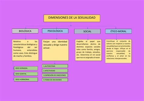 Componentes De La Sexualidad Y Las Relaciones Interpersonales